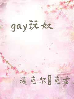 gay玩奴
