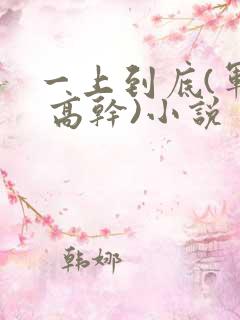 一上到底(军旅 高干)小说