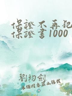 保证不再犯错的保证书1000