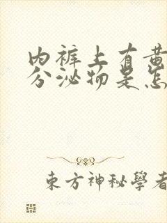 内裤上有黄黄的分泌物是怎么回事用什么药