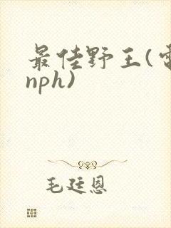 最佳野王(电竞nph)