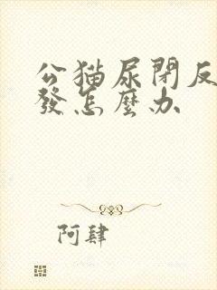 公猫尿闭反复复发怎么办