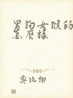 男狗女猴的婚姻怎么样