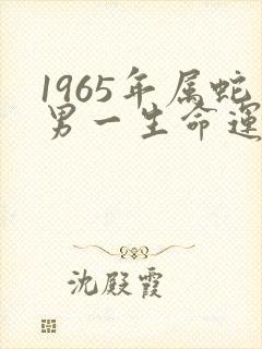 1965年属蛇男一生命运如何