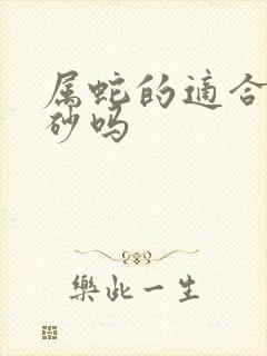 属蛇的适合带朱砂吗