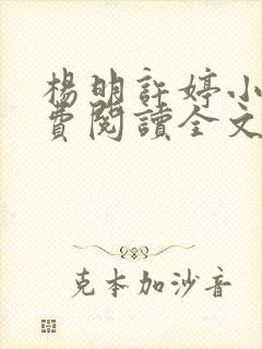 杨明许婷小说免费阅读全文最新章节