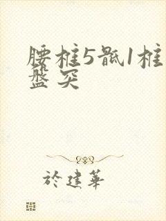 腰椎5骶1椎间盘突