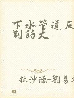 下水管道反味特别的大