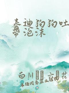 泰迪狗狗吐黄水带泡沫