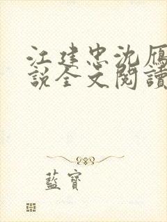 江建忠沈雁冰小说全文阅读