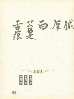 舌苔白厚腻有齿痕是