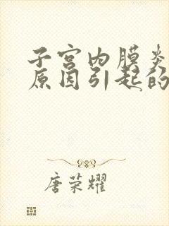 子宫内膜炎什么原因引起的