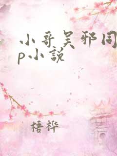 小哥吴邪同人cp小说