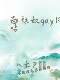 白袜奴gay网站