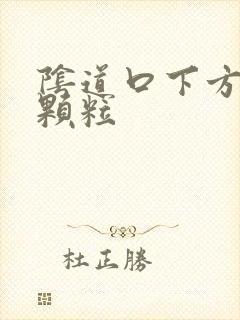 阴道口下方白色颗粒