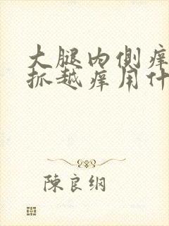 大腿内侧痒痒越抓越痒用什么药膏好