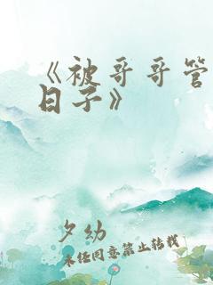 《被哥哥管教的日子》