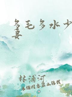 多毛多水少妇人妻