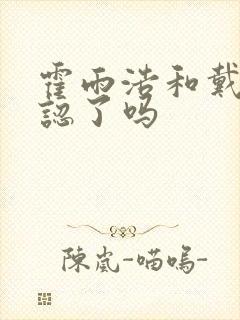 霍雨浩和戴浩相认了吗