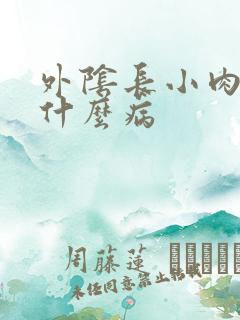 外阴长小肉芽是什么病