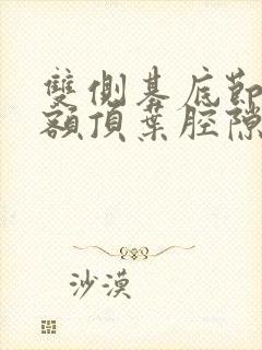 双侧基底节区及额顶叶腔隙性梗塞