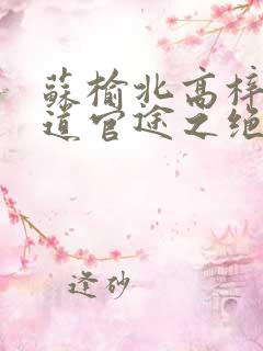 苏榆北高梓淇医道官途之绝对权力