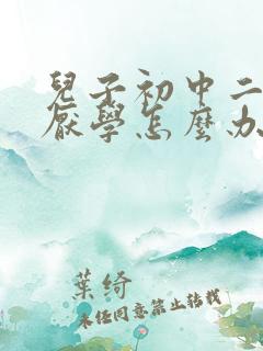 儿子初中二年级厌学怎么办