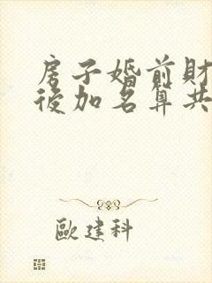 房子婚前财产婚后加名算共同财产吗