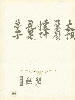 梦见怀孕大着肚子是什么预兆