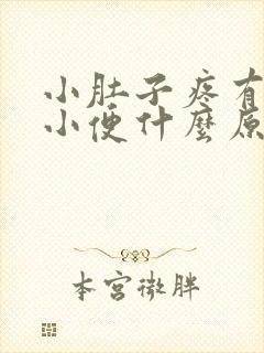 小肚子疼有点想小便什么原因