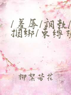 /羞辱/调教/捆绑/束缚视频