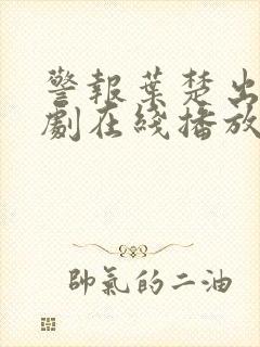 警报叶楚出狱短剧在线播放