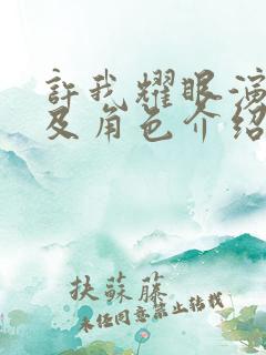 许我耀眼演员表及角色介绍