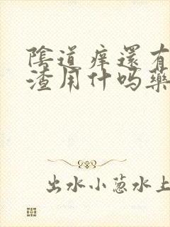 阴道痒还有豆腐渣用什吗药