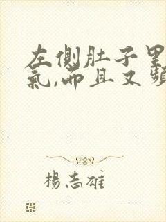 左侧肚子里有胀气,而且又频繁放屁