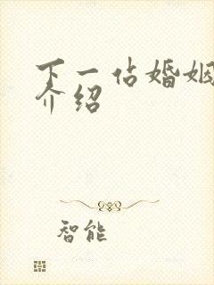 下一站婚姻剧情介绍