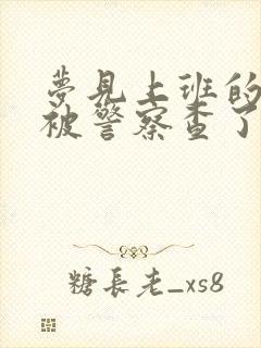 梦见上班的地方被警察查了