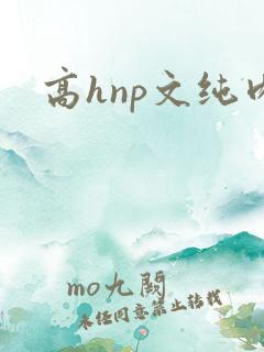 高hnp文纯肉