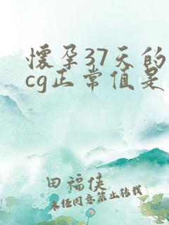 怀孕37天的hcg正常值是多少