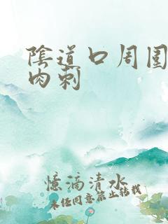 阴道口周围长小肉刺