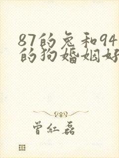 87的兔和94的狗婚姻好不好