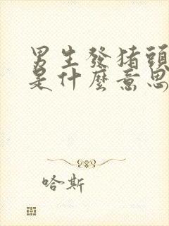 男生发猪头表情是什么意思