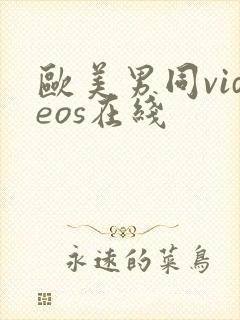 欧美男同videos在线