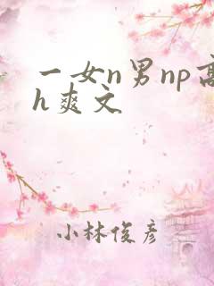 一女n男np高h爽文