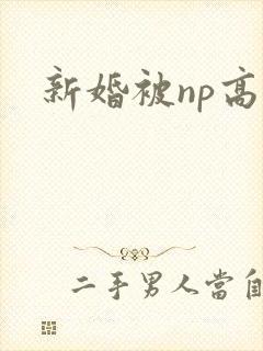 新婚被np高h
