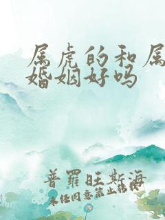 属虎的和属蛇的婚姻好吗