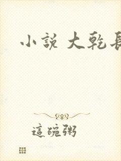 小说 大乾长生