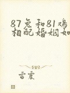 87兔和81鸡相配婚姻如何