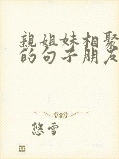 亲姐妹相聚开心的句子朋友圈