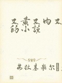 又黄又肉又刺激的小说